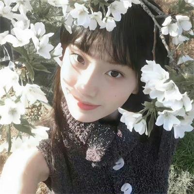 上海红美丽